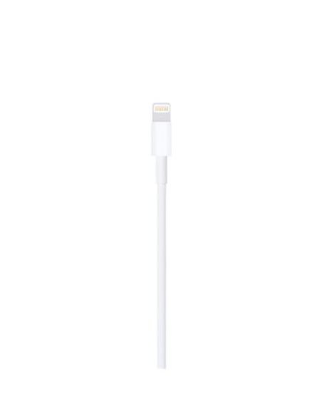 LIGHTNING TO USB CABLE (1 M)