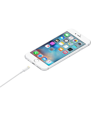 LIGHTNING TO USB CABLE (1 M)