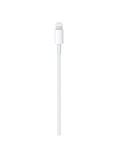 USB-C TO LIGHTNING CABLE (1 M)