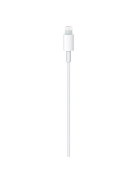 USB-C TO LIGHTNING CABLE (1 M)