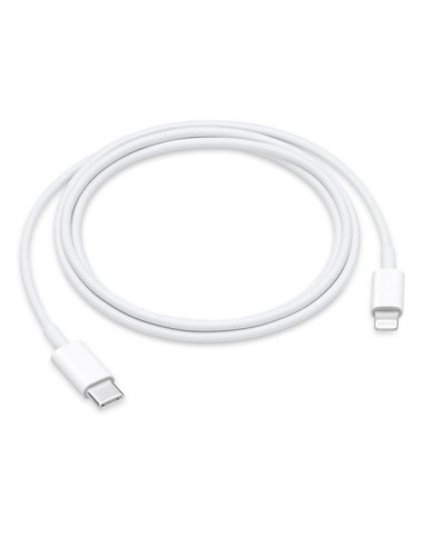 USB-C TO LIGHTNING CABLE (1 M)