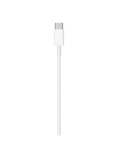 USB-C TO LIGHTNING CABLE (1 M)
