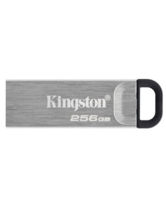 DATATRAVEL KYSON 256GB 2