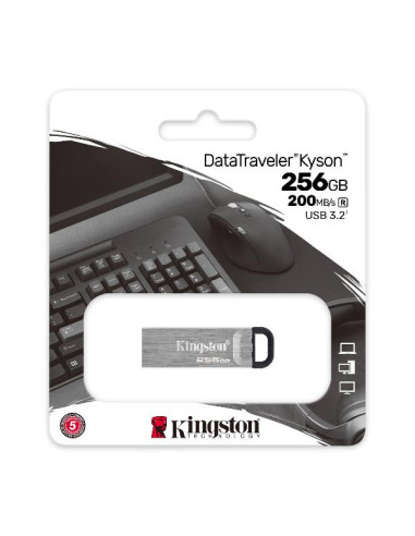 DATATRAVEL KYSON 256GB
