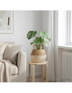 Vaso da fiori con manici Bianco Ø 22 x 20 cm 100% Erba marina