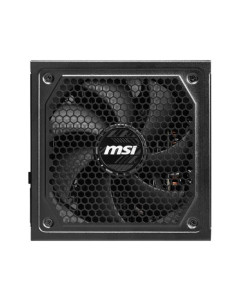 MAG A1250GL PCIE5 2