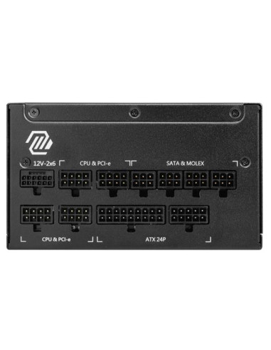 MAG A1250GL PCIE5
