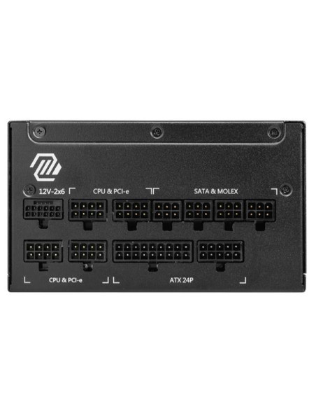 MAG A1250GL PCIE5