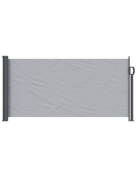 Tenda laterale retrattile 300 x 100 cm Poliestere Rettangolare