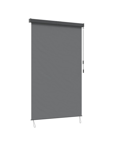 Tenda a rullo Grigio Chiaro 120 x 250 cm Tessuto e Alluminio
