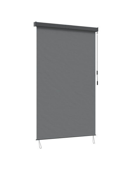 Tenda a rullo Grigio Chiaro 120 x 250 cm Tessuto e Alluminio
