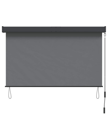Tenda a rullo Grigio Chiaro 120 x 250 cm Tessuto e Alluminio