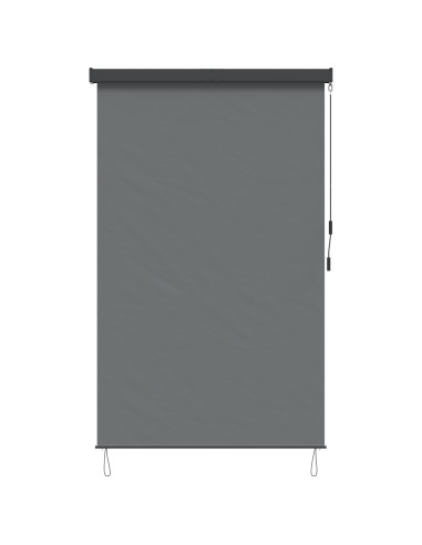 Tenda a rullo Grigio Chiaro 120 x 250 cm Tessuto e Alluminio