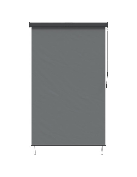 Tenda a rullo Grigio Chiaro 120 x 250 cm Tessuto e Alluminio
