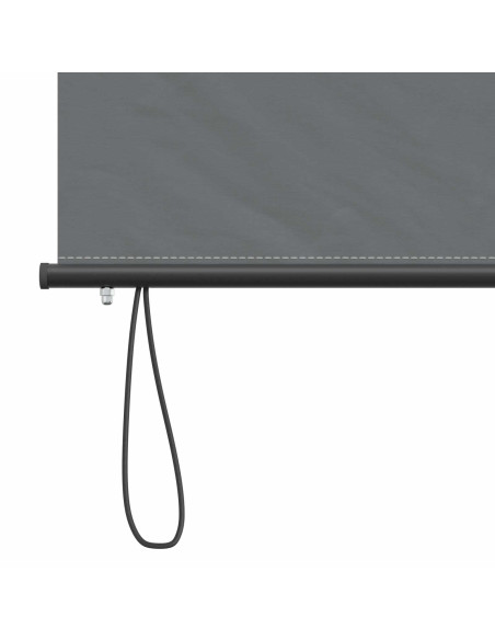 Tenda a rullo Grigio Chiaro 120 x 250 cm Tessuto e Alluminio