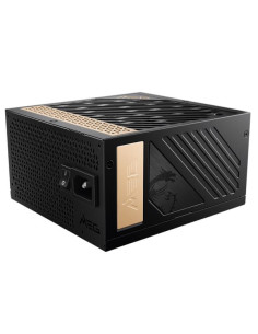 MEG AI1300P PCIE5 2