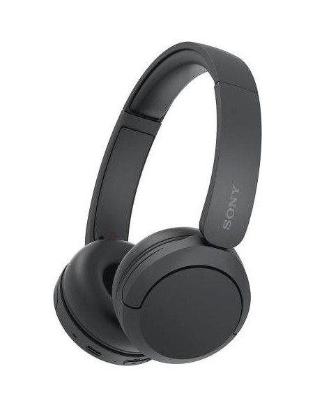 Sony Cuffie Wir/BT Mic WH-CH520 Black