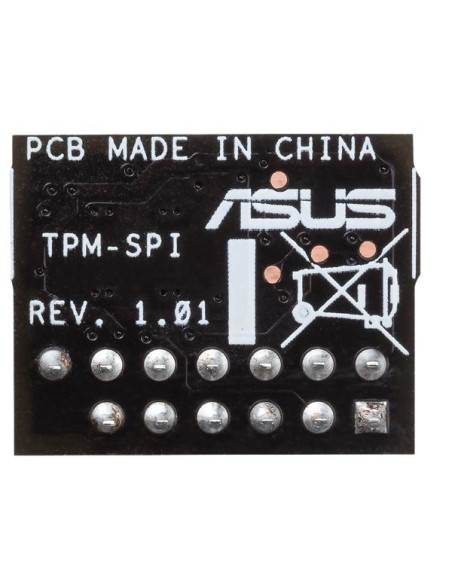 TPM-SPI