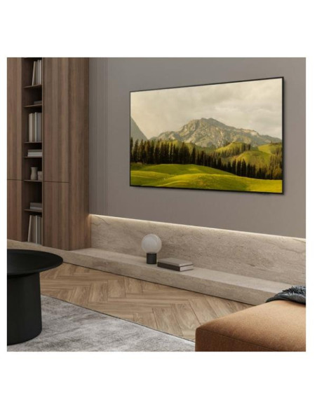 TV 65 POLL OLED