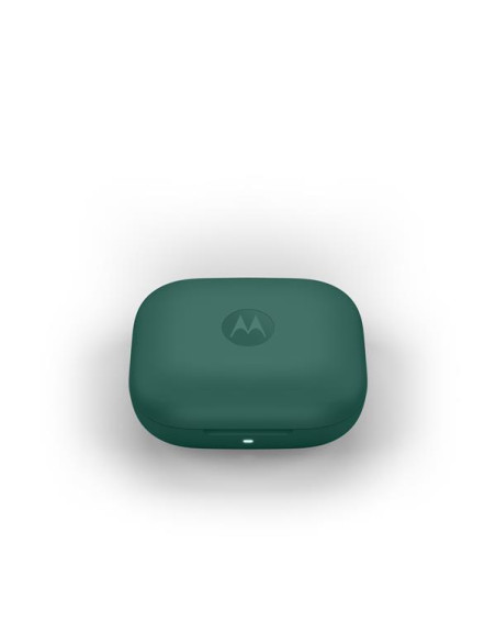 MOTO BUDS BASS POSY GREEN