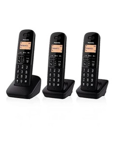 CORDLESS TGB613 TRIO 2