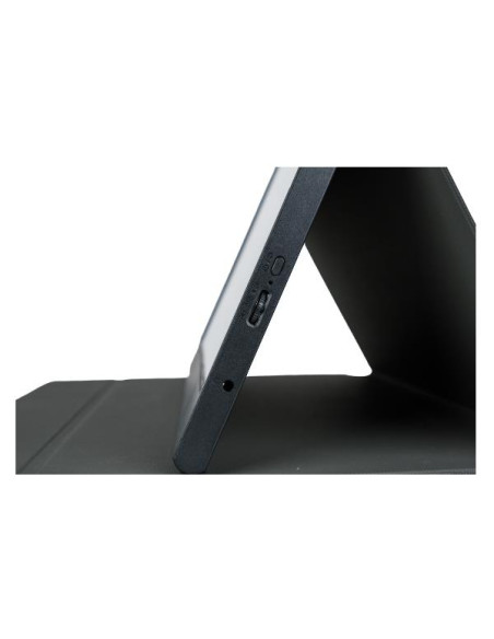 MONITOR 15.6 PORTATIL IPS FHD TYPEC