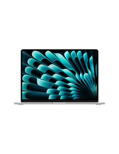MBA 15 SLV/10C GPU/16GB/1TB