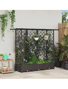 Letto Rialzato con Griglia e Tetto Marrone 164 x 40 x 123 cm PP