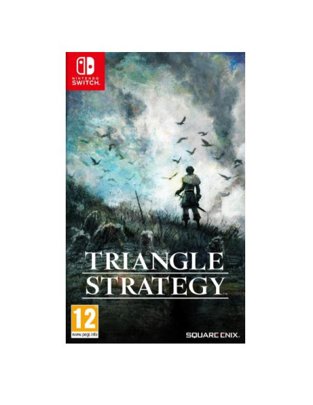 HAC TRIANGLE STRATEGY ITA