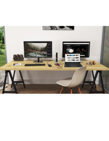 USB 3.0/USB-C 2X HDMI