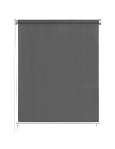 Tenda a Rullo per Esterni 60x230 cm Antracite