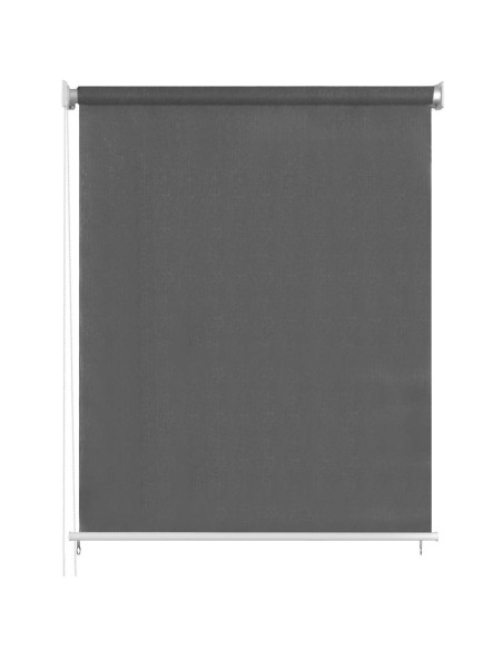 Tenda a Rullo per Esterni 60x230 cm Antracite