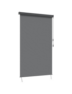 Tenda a rullo Grigio Chiaro 60 x 250 cm Tessuto e Alluminio