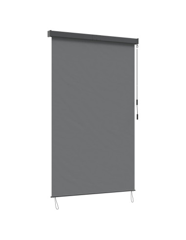 Tenda a rullo Grigio Chiaro 60 x 250 cm Tessuto e Alluminio