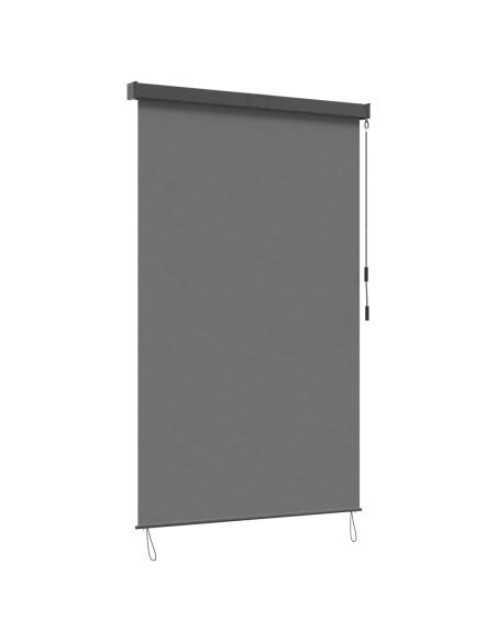 Tenda a rullo Grigio Chiaro 60 x 250 cm Tessuto e Alluminio