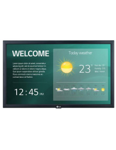 22 LED IPS 1920X1080 16:9 250