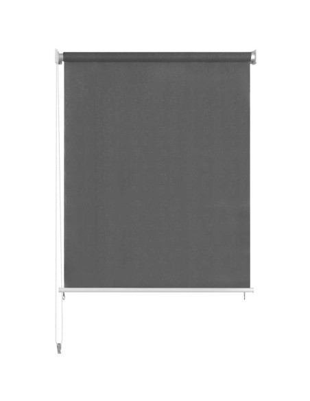 Tenda a Rullo per Esterni 220x140 cm Antracite