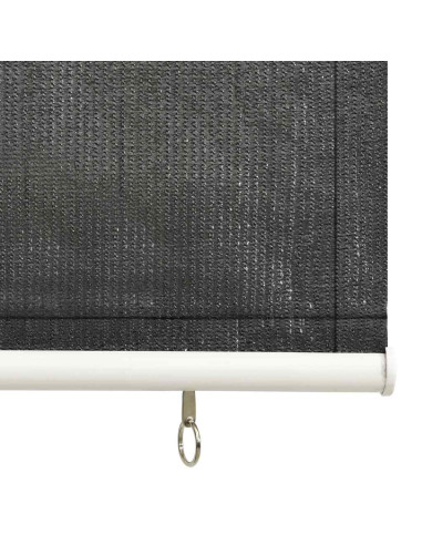 Tenda a Rullo per Esterni 80x140 cm Antracite