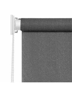 Tenda a Rullo per Esterni 60x230 cm Antracite 2