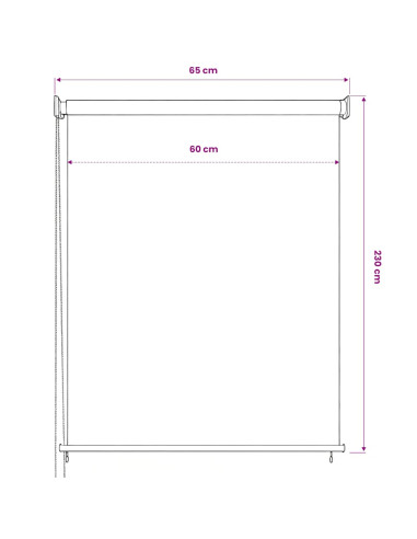 Tenda a Rullo per Esterni 60x230 cm Antracite