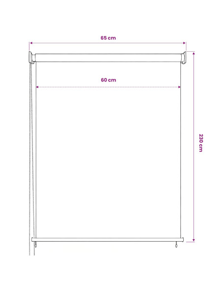 Tenda a Rullo per Esterni 60x230 cm Antracite