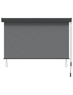 Tenda a rullo Grigio Chiaro 60 x 250 cm Tessuto e Alluminio 2