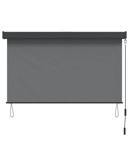 Tenda a rullo Grigio Chiaro 60 x 250 cm Tessuto e Alluminio