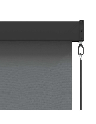 Tenda a rullo Grigio Chiaro 60 x 250 cm Tessuto e Alluminio