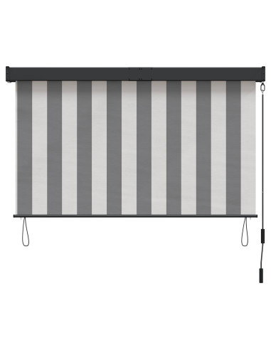 Tenda a rullo Antracite e Bianco 60 x 250 cm