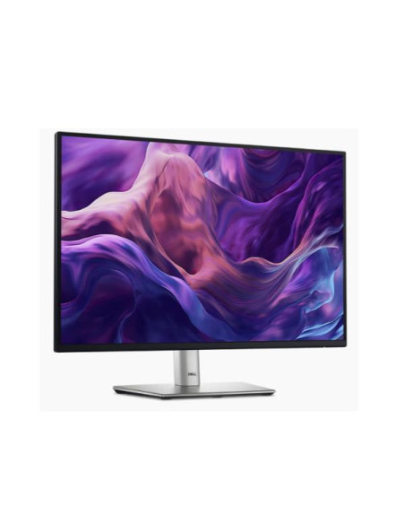 DELL 24 MONITOR - P2425
