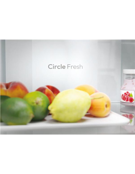 CANDY FRIGO COMBI CNCQ2T618EX