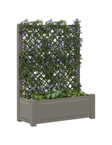 Vaso Grande con Direzione Grigio 99,5 x 43 x 133,5 cm PP