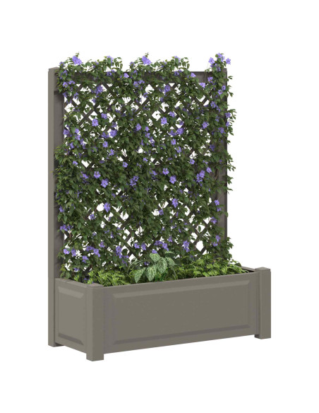 Vaso Grande con Direzione Grigio 99,5 x 43 x 133,5 cm PP