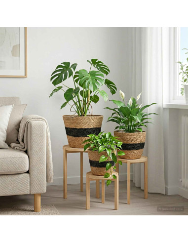 Cesti per piante in erba marina 3 pcs Naturale e Nero